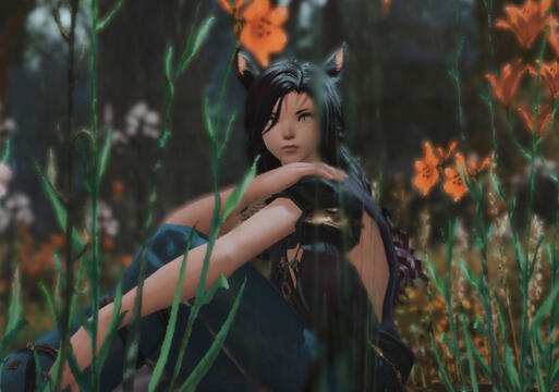 Amelia Lyshvel | Server, Performer